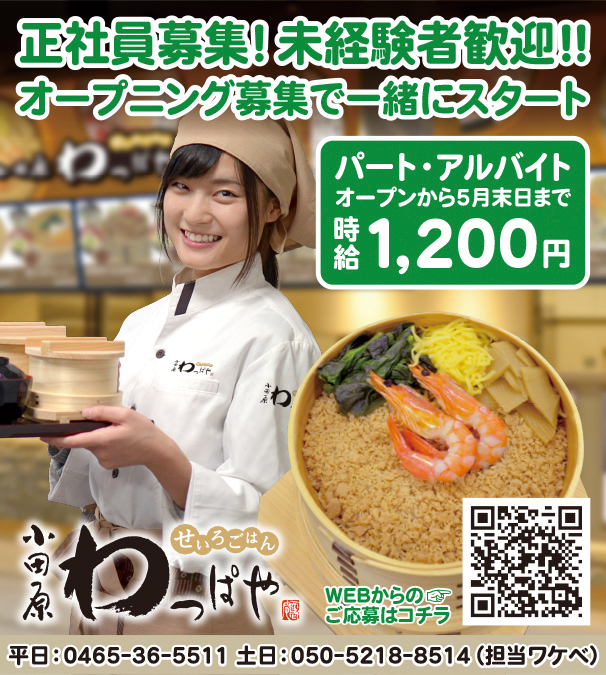 わっぱや求人