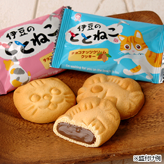 伊豆のととねこ